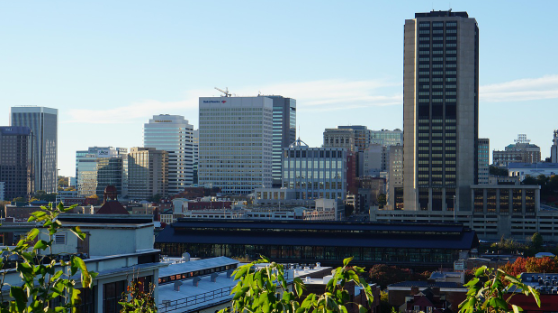Top 10 Cities in Virginia to Live and Visit in 2025